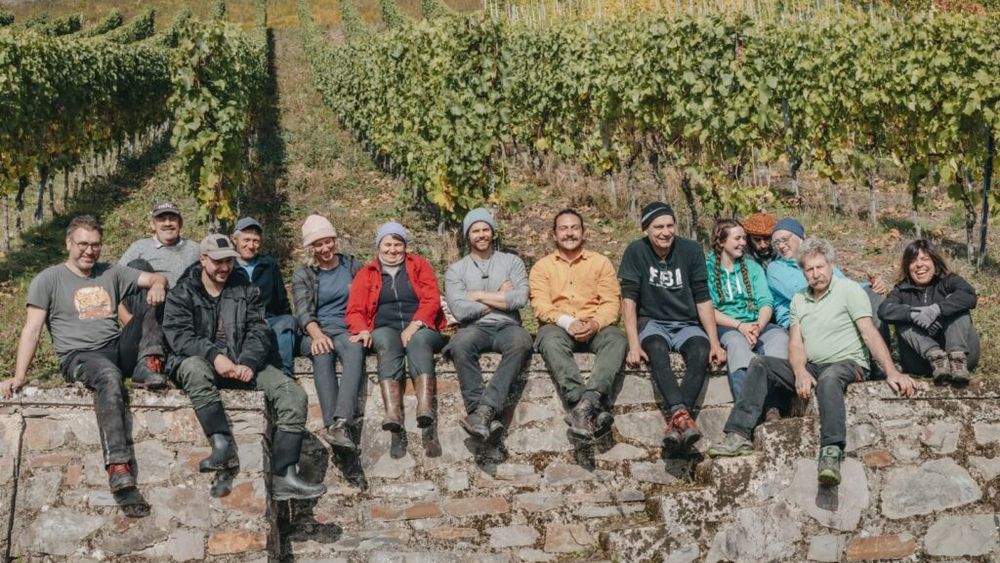 Cea mai veche cramă din lume care încă funcționează are peste 1.000 de ani / Totul a pornit de la o parcelă de teren oferită unor călugări de împărat