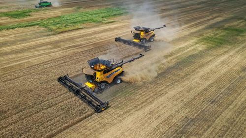 Holde Agri Invest anunţă măsuri pentru redresarea activităţii grupului. Grupul vrea să semneze noi parteneriate şi să atragă noi investitori: Suntem conştienţi de gravitatea situaţiei în care se află grupul, dar şi tot sectorul de agricultură din Romania