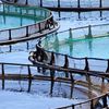 Fermele piscicole pot primi bani pentru carbonul captat / România lansează un mecanism unic în UE