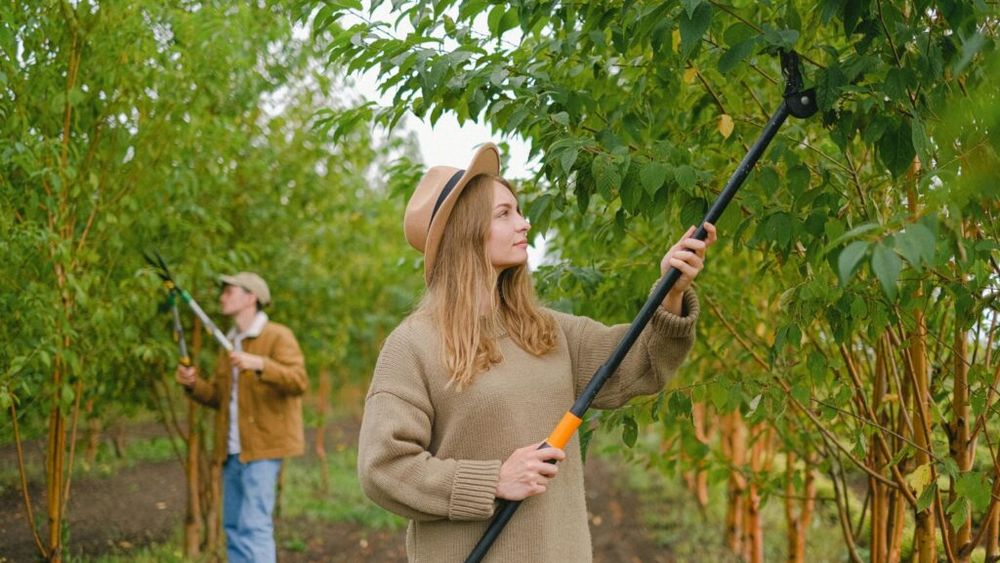 Zeci de tineri fermieri din zona montană din Alba primesc o finanţare totală de peste 3,2 milioane de euro