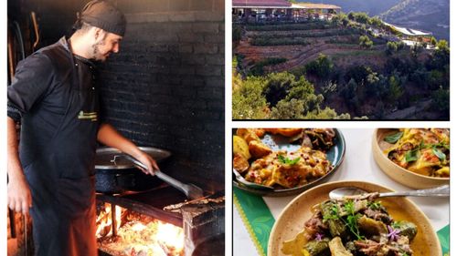 Cei șase piloni ai dietei cretane: Mersul pe jos, consumul exclusiv de fructe și legume de sezon, utilizarea uleiului de măsline, consumul rar de carne, lipsa rețetelor fixe și vinul / Cum a prins viață această „filosofie” în Grădina Botanică a Cretei