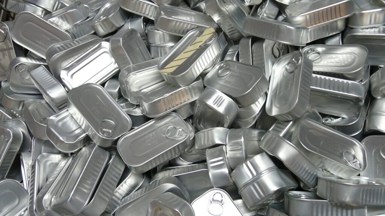 Fabrica de conserve de peşte din oraşul Sulina, una dintre cele mai mari din România în timpul regimului comunist, sursă de inspiraţie a unui grup de tineri artişti