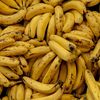 Aproape 800 de kilograme de cocaină, ascunse într-un transport de banane, confiscate în Italia / Drogurile valorează aproximativ 250 de milioane de euro