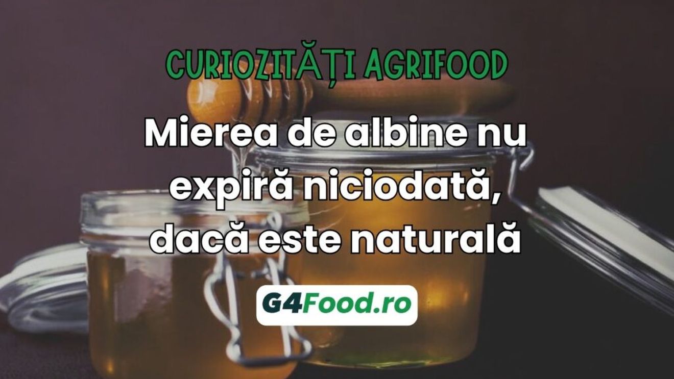 Curiozități agrifood – 17 iulie: Mierea de albine nu expiră niciodată, dacă este naturală/Vechii egipteni îngropau borcane cu miere în mormintele regale
