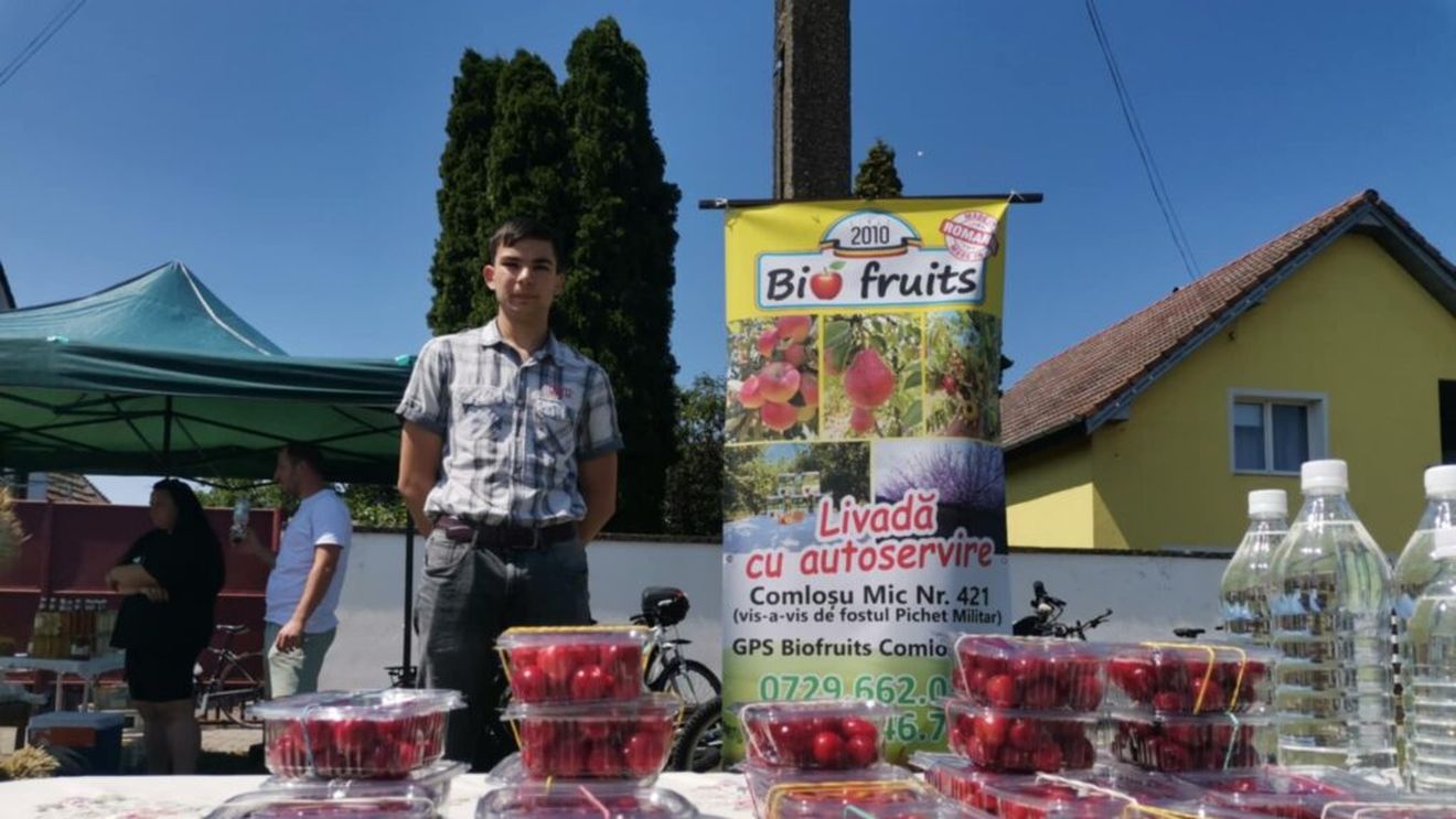 FOTO | Fermier cu valoare adăugată | Livada cu autoservire și plată la cutie, un concept copiat din Germania de o familie din localitatea timișeană Comloșu Mic: „Pot spune că, în proporție de mai bine de 90%, oamenii au fost corecți”