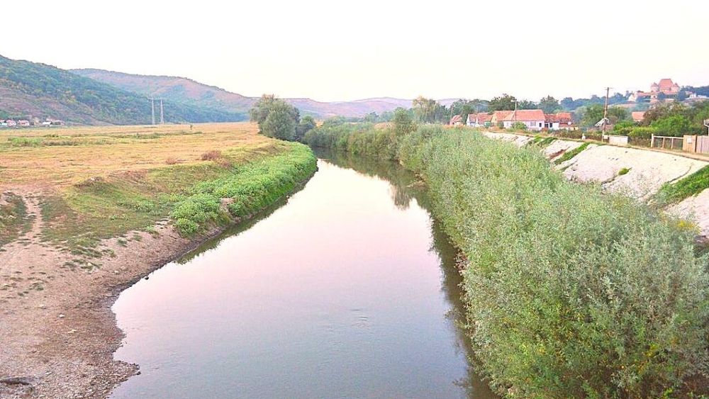 Garda de Mediu: Animalele sălbatice au curăţat râul Târnava Mică de peştii morţi din cauza sării provenită de la Salina Praid