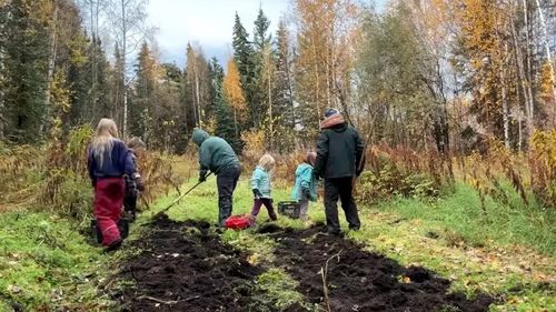 VIDEO | În Alaska, un drum la supermarket poate dura nouă ore / Cum își face provizii o familie înainte ca iarna să îngreuneze accesul