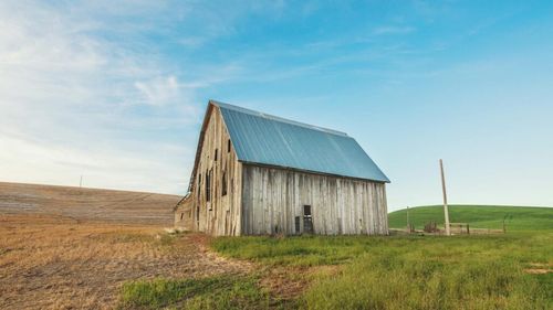 Ceva otrăvește fermele americane. Agricultorii se tem că este vorba despre „substanțele chimice veșnice”