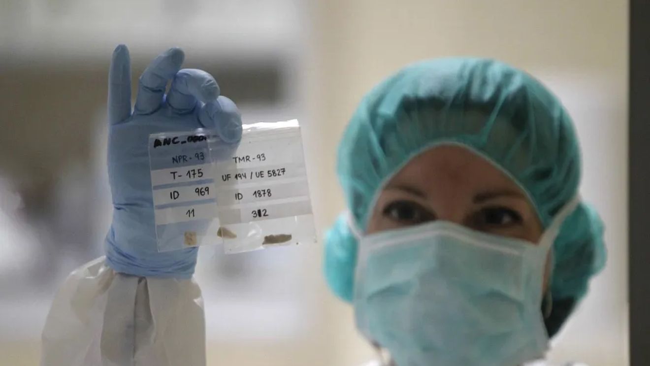 Editarea genomică continuă să divizeze agricultura convențională și cea ecologică/ 2025 ar putea fi anul când autoritățile europene finalizează reglementările în domeniu