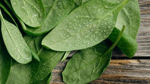 Cum prepari un pesto de leurdă: preparatul de post este excelent pentru o zi de primăvară / Se pregătește rapid, din numai câteva ingrediente