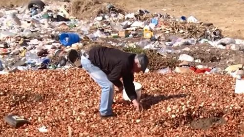VIDEO | Tone de ceapă și alte legume, aruncate la gunoi. Localnicii recupereză ce se mai poate folosi: „Din magazin tot așa o iau”