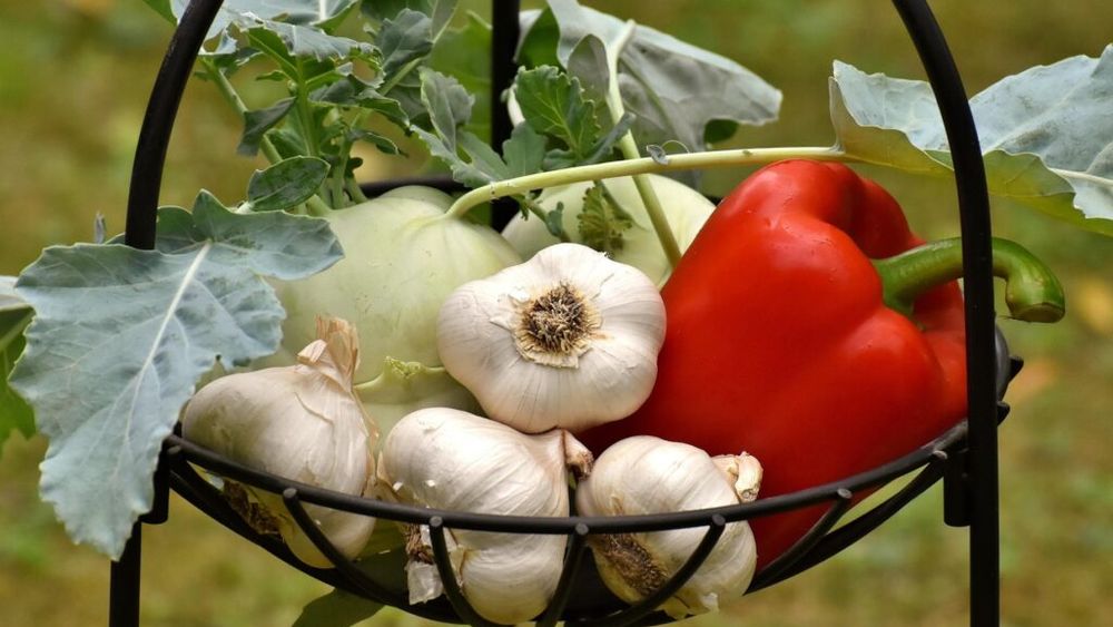 Cum poți reduce colesterolul fără medicamente / Șase metode simple recomandate de specialiști / Alimente pe care să le eviți și alimente recomandate