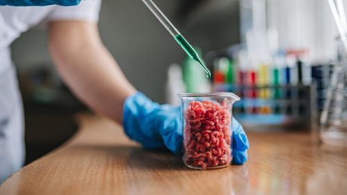 Interzicerea cărnii crescute în laborator în Statele Unite, văzută ca un „autogol” al războiului cultural / Producător: America cedează un avantaj competitiv,