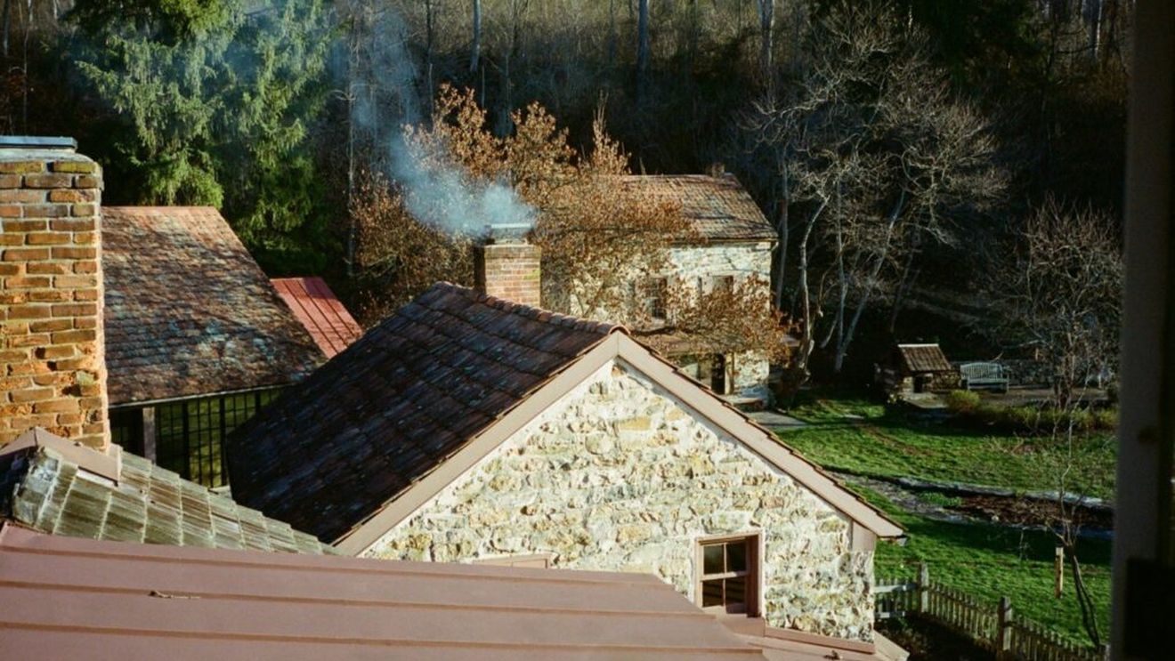 Un fost angajat al Google a înființat o fermă sustenabilă de castani unde oferă servicii de vindecare: „Încercăm să facem legătura între sănătatea solului și sănătatea mintală” / Cei cu posibilități financiare reduse pot participa oferind ajutor în grădină