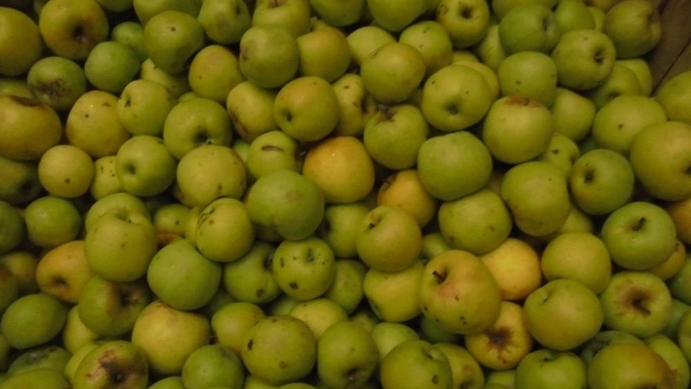 Lanțulalimentar.ro în județul Dâmbovița: De ce merele din Polonia sunt livrate în școlile din România