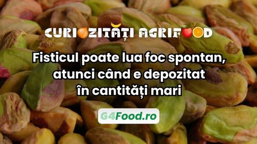Curiozități agri-food: Fisticul poate lua foc spontan, atunci când e depozitat în cantități mari / Explicația stă în compoziția fisticului