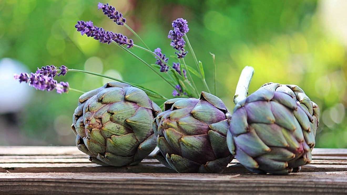 Leguma mov care crește pe insulele nordice ale Veneției. Este atât de rară încât localnicii sunt nevoiți să se lupte cu contrafacerile: „În cele din urmă, ar putea dispărea”