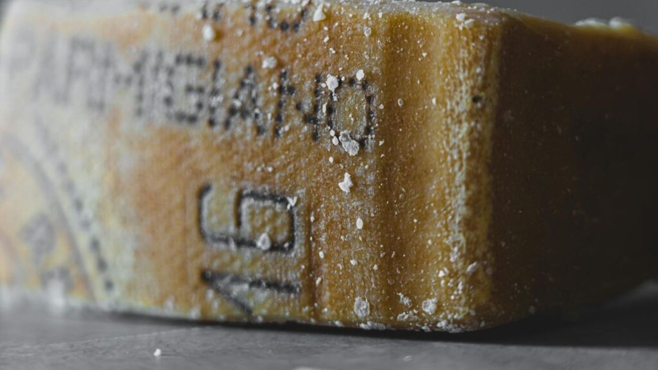 UE investeşte 380 de milioane euro în proiecte care sprijină tranziţia verde / Două dintre proiecte vor ajuta podgoriile de renume mondial şi producţia de brânzeturi celebre, cum ar fi Parmigiano Reggiano, Camembert de Normandie şi Roquefort, să devină mai rezistente la impactul fenomenelor meteorologice extreme