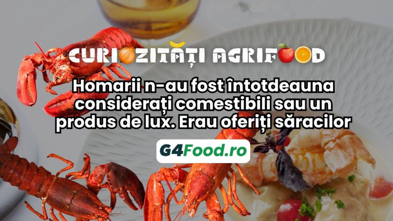 Curiozități agrifood - 24 septembrie: Homarii n-au fost întotdeauna considerați comestibili sau un produs de lux. Erau oferiți săracilor