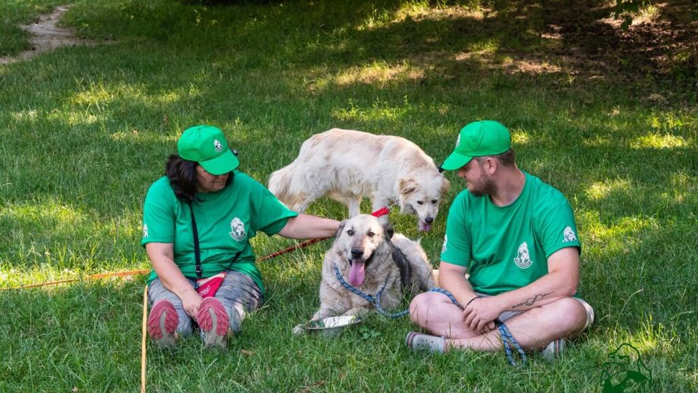 Toamna vine la Adăpostul Speranţa: Un borcan cu zacuscă pentru vizitatori, unul cu speranţă pentru câini