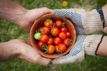 Cum păstrezi corect roșiile cherry / Un specialist în știința alimentelor explică de ce frigiderul nu este întotdeauna cea mai bună alegere