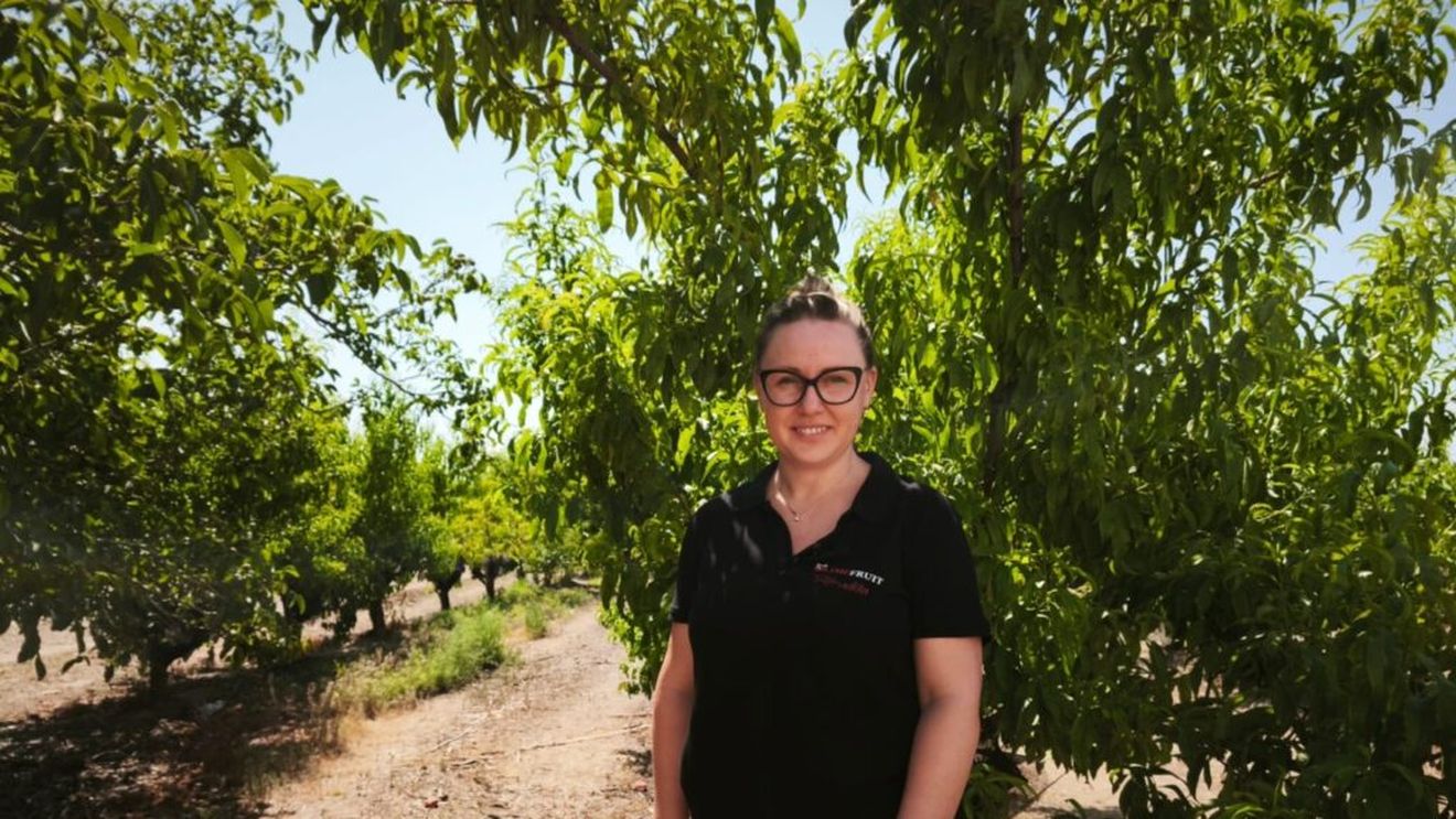 VIDEO | De la Sarmale la Tapas - Ep. 3 | Anamaria Tifu, fermieră în Catalonia: Socrul meu are pătrunjel proaspăt în grădină și de câte ori îmi aduce mă întorc în copilărie, simt mirosul mâinilor mamei după ce făcea ciorbă sau tocăniță