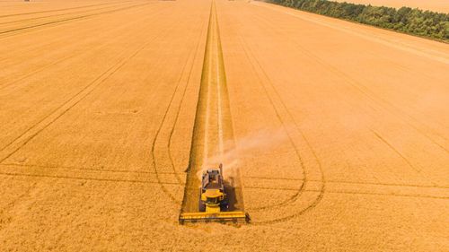 Un gigant agricol cu sute de mii de hectare a fost naționalizat în Rusia, pe fondul presiunilor tot mai mari asupra mediului de afaceri / Proprietarul este în arest