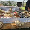 Consumatorul decide soarta producătorilor români. Tanczos Barna: Alegerea produselor locale susține economia