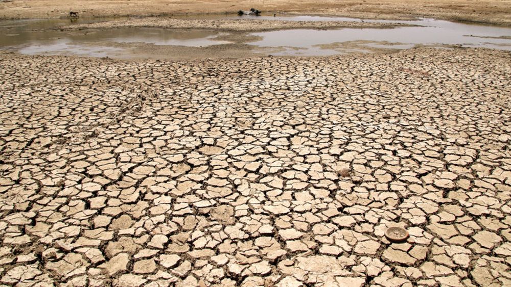 Record absolut de temperatură în Maroc: 50,4 grade Celsius, într-una dintre cele mai puternice regiuni legumicole; țara nord africană este cel mai important furnizor de tomate pe piața UE