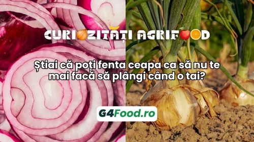 Știai că poți fenta ceapa ca să nu te mai facă să plângi când o tai?