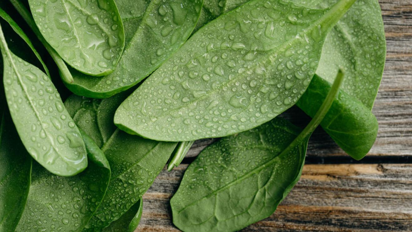 Cum prepari un pesto de leurdă: preparatul de post este excelent pentru o zi de primăvară / Se pregătește rapid, din numai câteva ingrediente