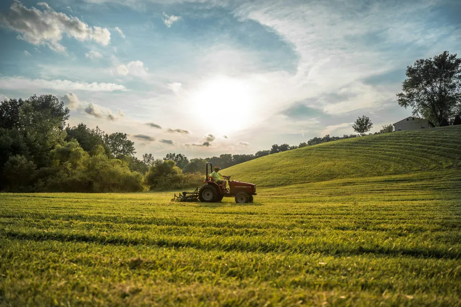 FAO - agricultura romania costuri productie agricultura motorina fertilizanti