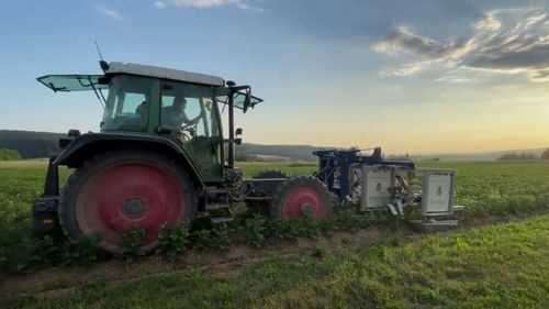 VIDEO | Un fermier a creat un dispozitiv care permite îndepărtarea eficientă a gândacului de Colorado fără utilizarea pesticidelor / Cum arată și cum funcționează