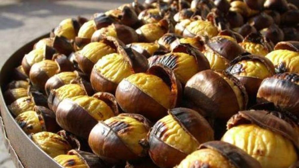 Istoria castanelor, fructele apreciate de toată lumea, de la capete încoronate la oameni de rând/În Baia Mare se cultivă dintotdeauna, conform datelor istorice