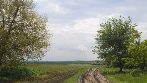 Datele oficiale prezentate de Ministerul Agriculturii contrazic propaganda despre străinii care lucrează terenuri agricole în România