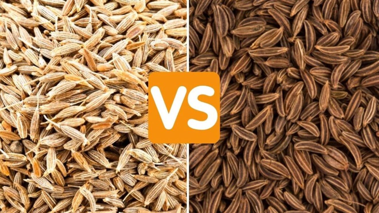 Care sunt diferențele dintre chimen și chimion și cum să le deosebești