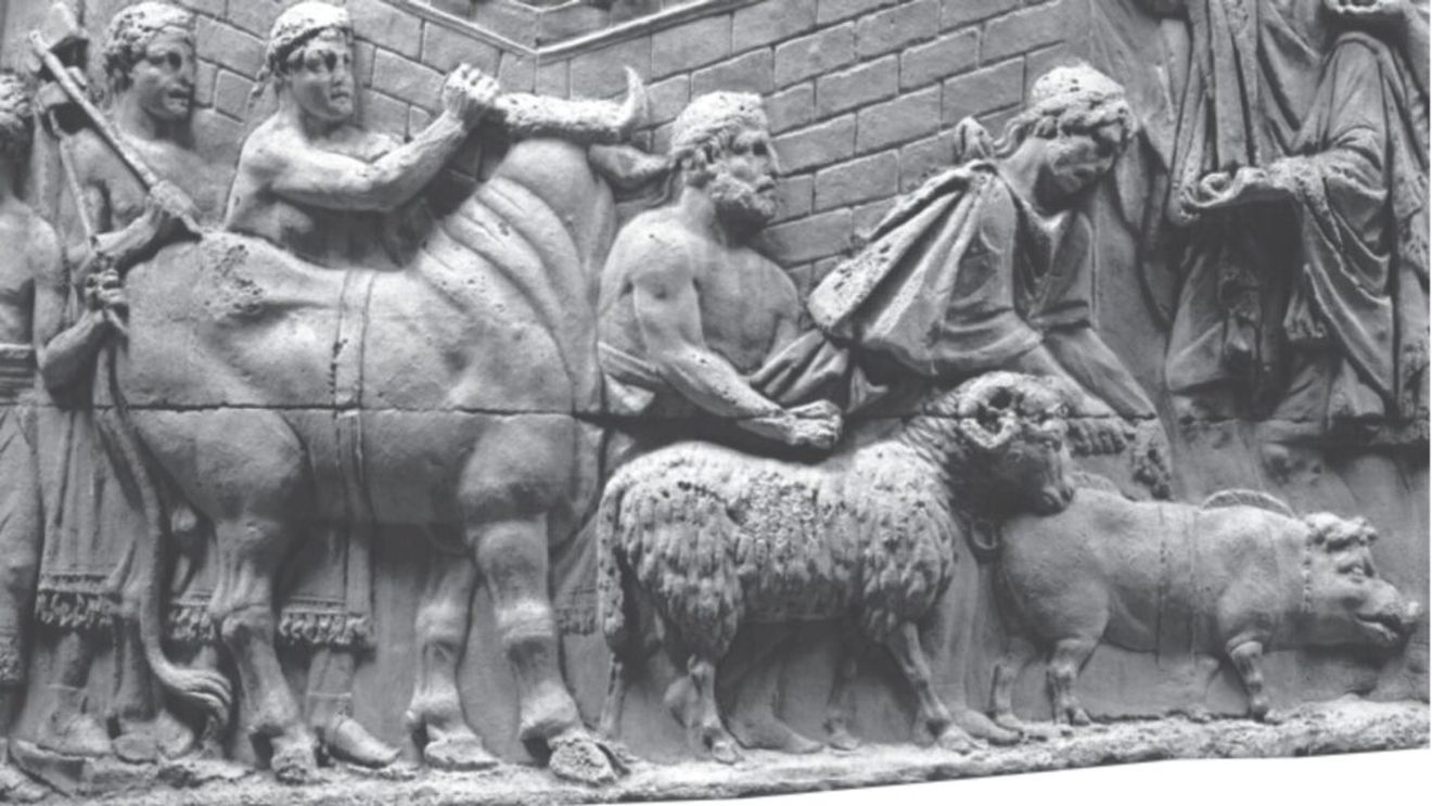 Din istoria agriculturii | Mihai Căstăian (arheolog): „Arta anticipează evoluția lucrurilor” / Agricultura în antichitate și lecțiile Columnei lui Traian