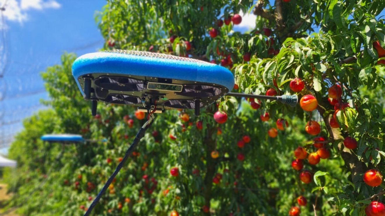 Un startup produce drone capabile să culeagă fructe / Firma i-a atras atenția lui Bill Gates