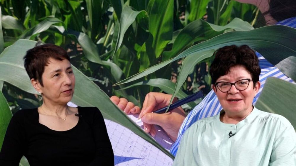 VIDEO | Agricultura în schimbare: Cristina Cionga, director executiv al Forumului APPR, vorbește despre viitorul agriculturii europene: De la simplificarea Politicii Agricole Comune și creditele de carbon 