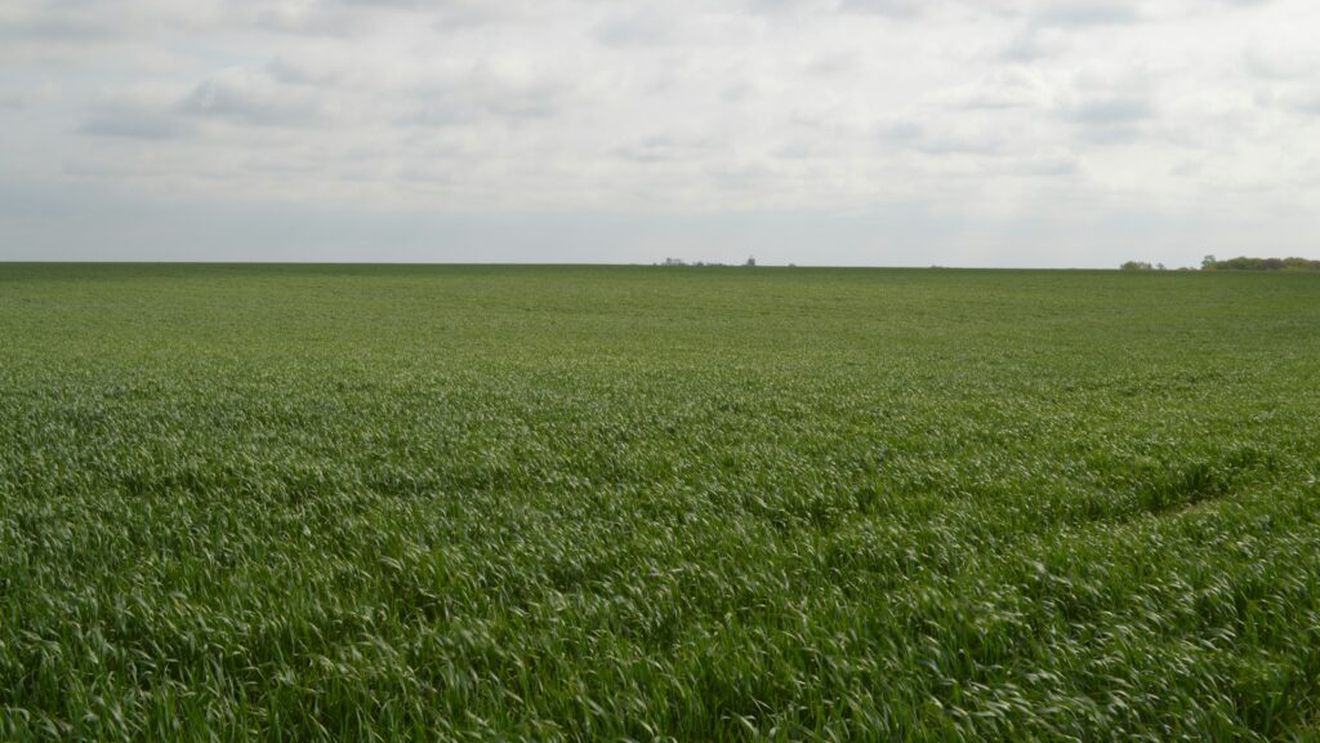 Tranzacțiile de terenuri agricole din Dolj indică o piață în curs de maturizare / Comasarea terenurilor și reducerea fragmentării devin dominante