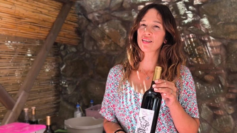 VIDEO Primul vin de cireșe din lume/ Cel sec merge perfect cu carne sau pește. Cel dulce este fermentat prin proceduri speciale și este minunat lângă brânzeturi sau ciocolată