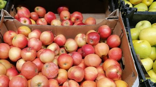 Formula AS: ”Republica Moldova a vândut anul trecut mere în peste 30 de țări”