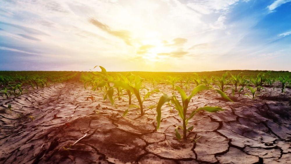 „Au secat și izvoarele în munte”. România se confruntă cu risc sever de secetă / Apă cu porția în mai multe județe