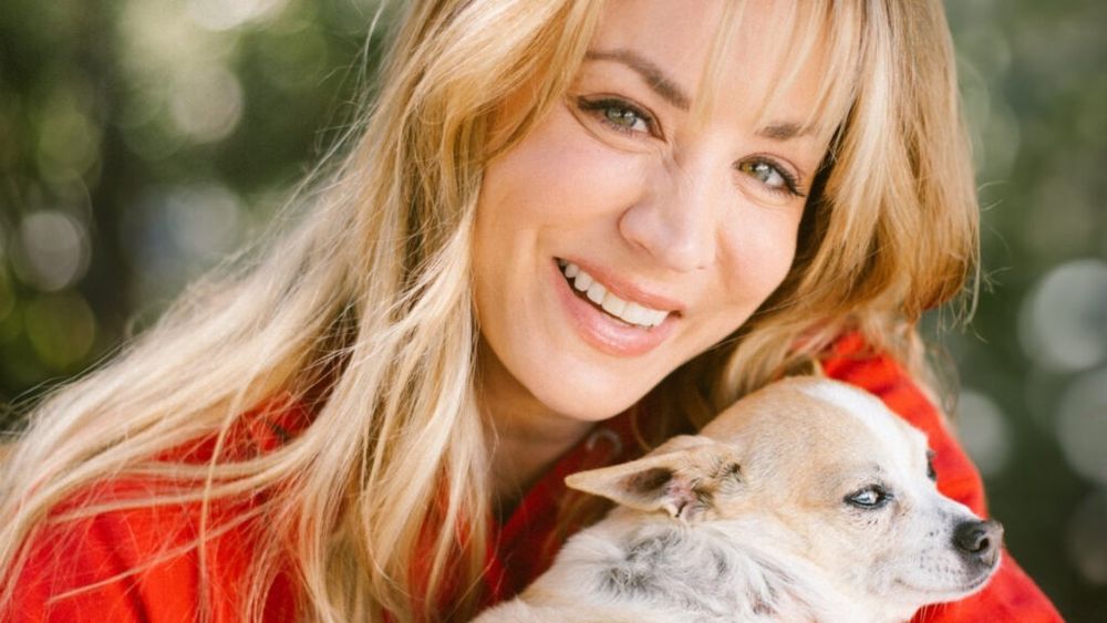 Oh Norman!, producătorul de hrană pentru animale cofondat de actrița Kaley Cuoco, caută un „director responsabil cu recompensele” / Condiția principală pentru candidați: să fie patrupezi