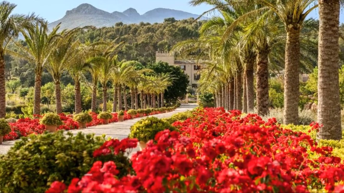 Unde mâncăm în vacanța din Spania? Lux de 5 stele și restaurant Michelin la castelul Son Claret din Palma de Mallorca/ Insulele Baleare sunt o destinație ideală pentru iubitorii de soare, lux și gastronomie rafinată