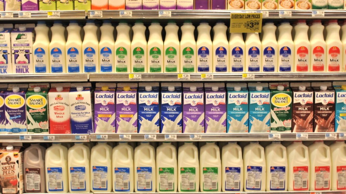 Cum încearcă britanicii să crească vânzarea de lapte / Cercetările arată cum poate fi revitalizat raftul de lactate și cum pot, ambalajul și aranjarea rafturilor, să convingă cumpărătorii să aleagă din nou laptele