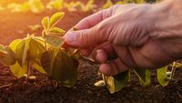Fermierii cer schimbarea Strategiei pentru biodiversitate: „Protejarea naturii nu poate fi realizată prin transferarea costurilor exclusiv asupra fermierilor”
