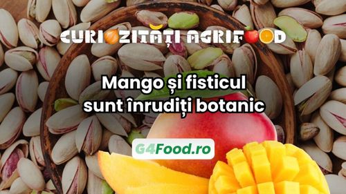 Curiozitate agri-food: Mango și fisticul sunt înrudiți botanic / Ambele fac parte din aceeași familie de plante, care include și anacardul (caju) și iedera otrăvitoare