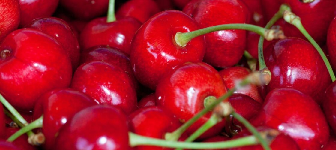 Veste bună pentru bucureșteni, primele cireșe românești sunt disponibile la vânzare/ Cât costă un kilogram la Stațiunea de Cercetare Băneasa