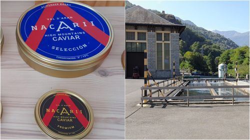 VIDEO Valea Aran - Episodul 3: Cum s-a adaptat o uzină de dragul protejării mediului, înființând o fermă piscicolă și vânzând caviar. Un (mai mult decât) fermier cu (multă) valoare adăugată